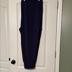 Lisa Rinna Navy Blue Jogger Pants Size 3X